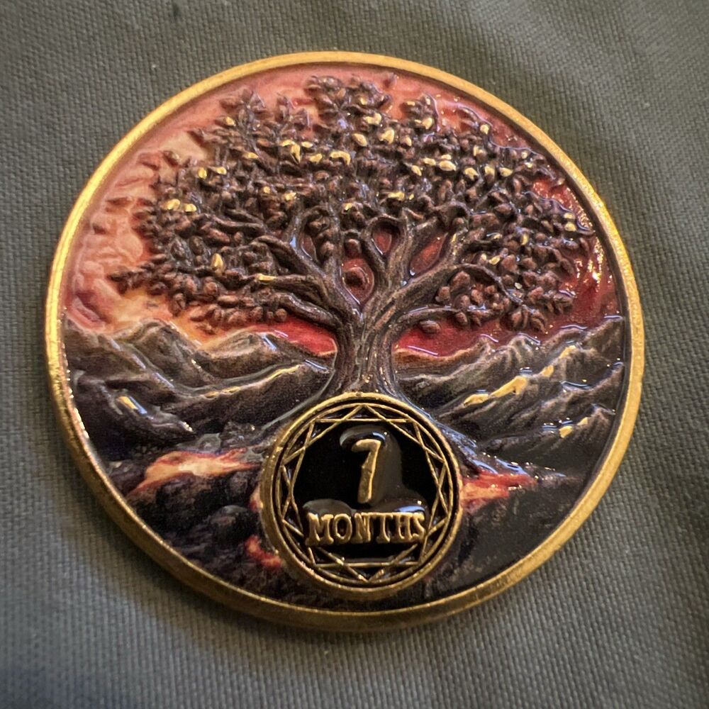 7 Months Tree AA NA Sobriety Coin Recovery Chip Sober Anniversary Token